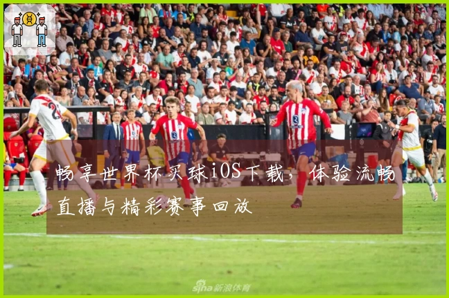畅享世界杯买球iOS下载，体验流畅直播与精彩赛事回放