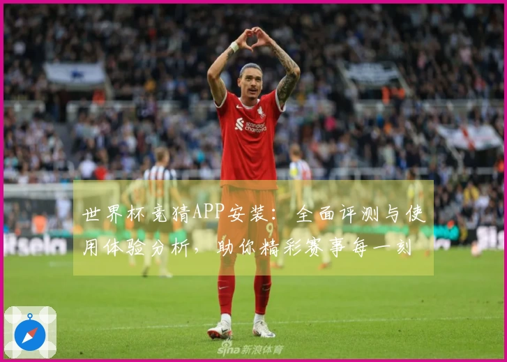 世界杯竞猜APP安装：全面评测与使用体验分析，助你精彩赛事每一刻