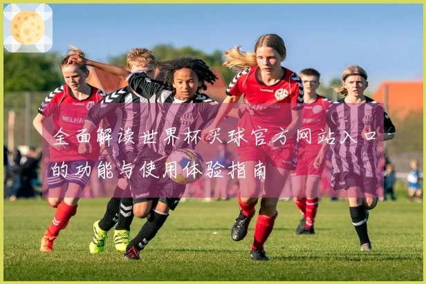 全面解读世界杯买球官方网站入口的功能与使用体验指南