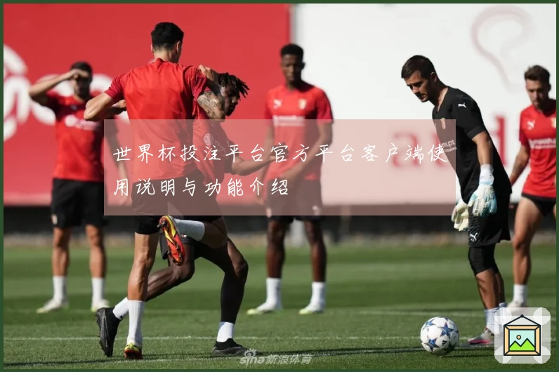 世界杯投注平台官方平台客户端使用说明与功能介绍
