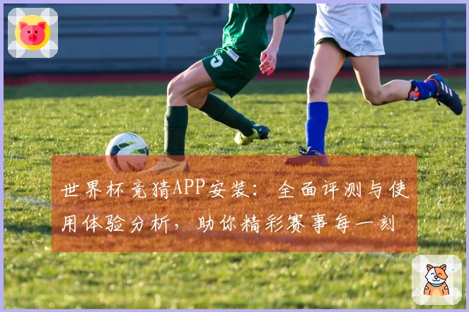 世界杯竞猜APP安装：全面评测与使用体验分析，助你精彩赛事每一刻